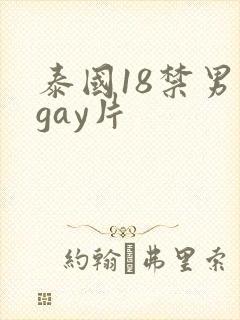 泰国18禁男男gay片