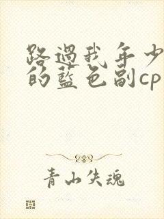 路过我年少时光的蓝色副cp封面