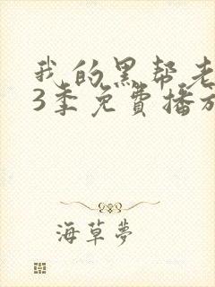 我的黑帮老大第3季免费播放在线观看
