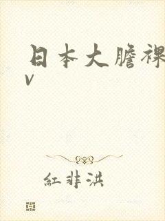 日本大胆裸体av封面
