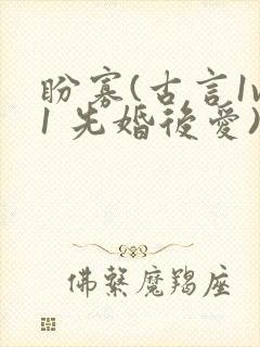 盼寡(古言1v1 先婚后爱)