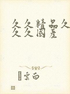 久久精品久久久久久国产