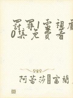 罚罪1电视剧40集免费看