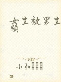 女生被男生操视频封面