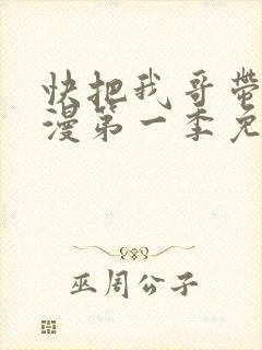 快把我哥带走动漫第一季免费观看封面