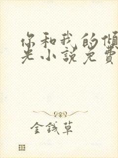 你和我的倾城时光小说免费阅读