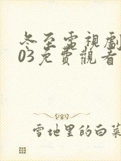 冬至电视剧2003免费观看封面