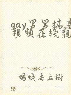 gay男男搞基视频在线观看