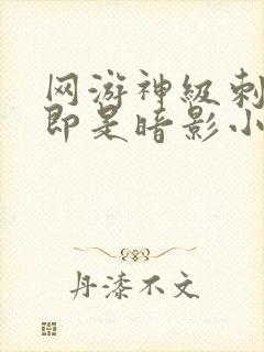 网游神级刺客我即是暗影小说下载