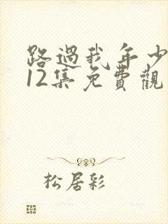 路过我年少时光12集免费观看