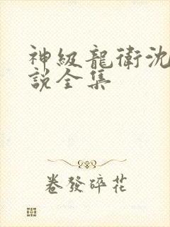 神级龙卫沈浪小说全集