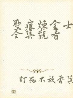 圣痕炼金士动漫全集观看