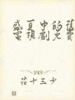 盛夏中的旧时光电视剧免费观看