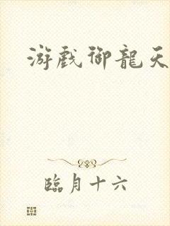 游戏御龙天下