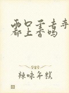 两口子去寺庙用都上香吗