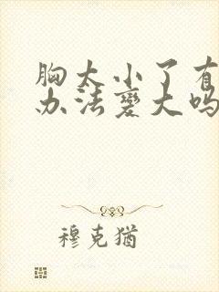 胸太小了有什么办法变大吗