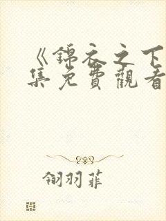 《锦衣之下》全集免费观看