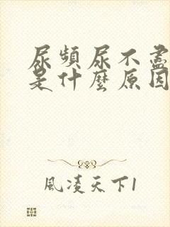 尿频尿不尽尿疼是什么原因