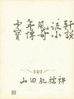 少年风流轩辕大宝传奇小说