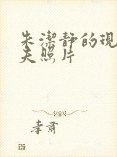 朱洁静的现任丈夫照片