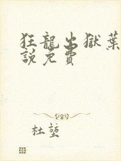 狂龙出狱叶风小说免费