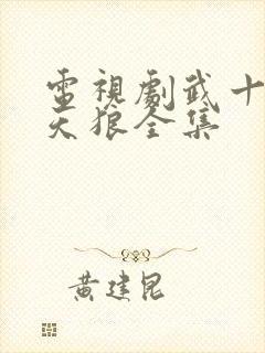 电视剧武十三战天狼全集