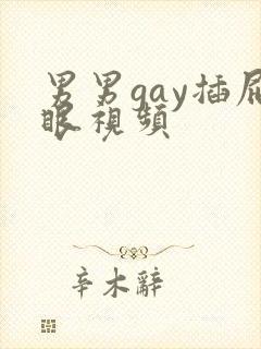 男男gay插屁眼视频