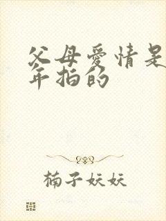 父母爱情是哪一年拍的