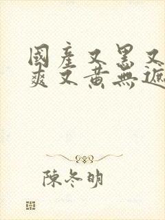 国产又黑又粗又爽又黄无遮挡封面