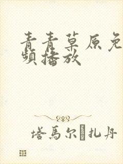 青青草原免费视频播放