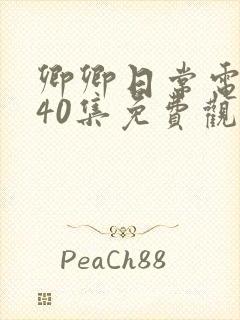 卿卿日常电视剧40集免费观看高清