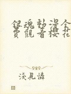 银魂动漫全集免费观看樱花动漫