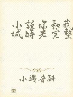 小说你和我的倾城时光完整版