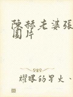 陈赫老婆张子萱图片