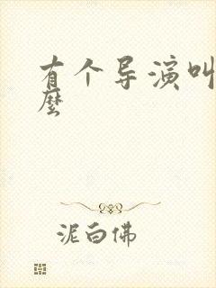 有个导演叫王什么