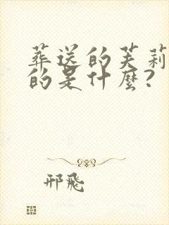 葬送的芙莉莲讲的是什么?