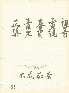 正青春电视剧全集免费观看下载