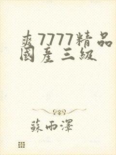 爽7777精品国产三级