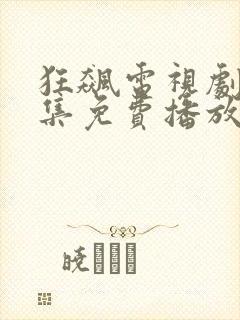狂飙电视剧40集免费播放在线观看