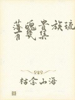 落魄贵族琉璃川有几集