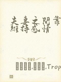 夫妻之间靠什么维持感情