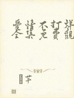 爱情不打烊短剧全集免费观看高清版封面