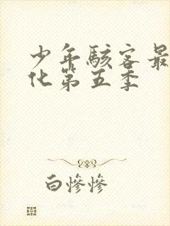 少年骇客最终进化第五季