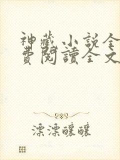 神藏小说全文免费阅读全文封面