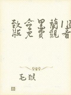 致命黑兰1国语版免费观看