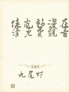 侠岚动漫在线高清免费观看