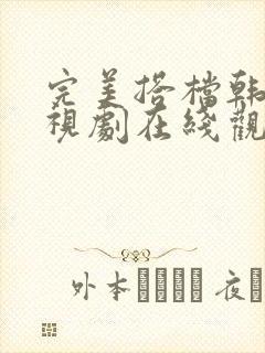 完美搭档韩剧电视剧在线观看全集