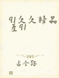 91久久精品国产91封面