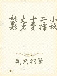 怒火十二小时电影免费播放在线观看