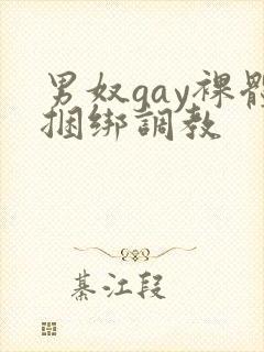男奴gay裸体捆绑调教